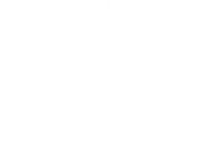 Yolaçan Dijital